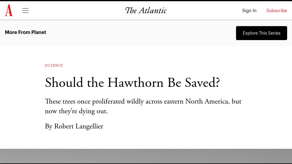 Screenshot of theatlantic.com: Should the Hawthorn Be Saved?