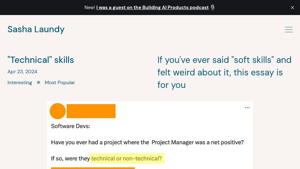 Screenshot of sashalaundy.com: "Technical" Skills