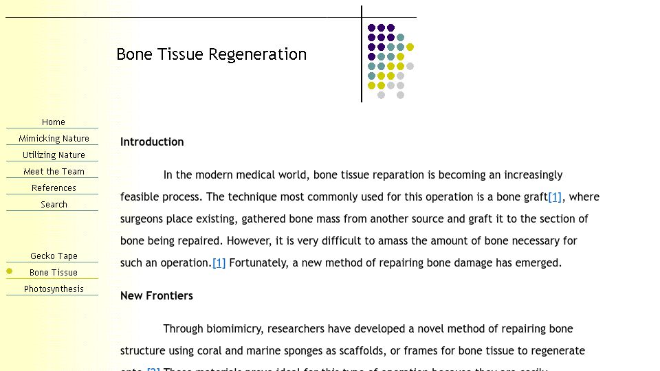 Screenshot of web.stanford.edu: Bone tissue reparation using coral and marine sponges