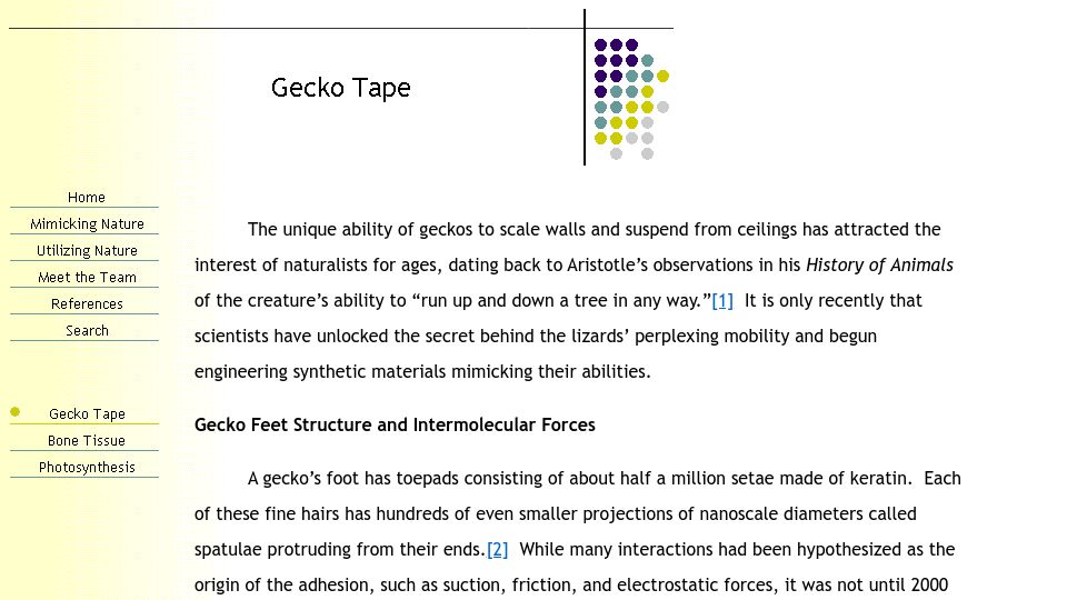 Screenshot of web.stanford.edu: Gecko Tapes