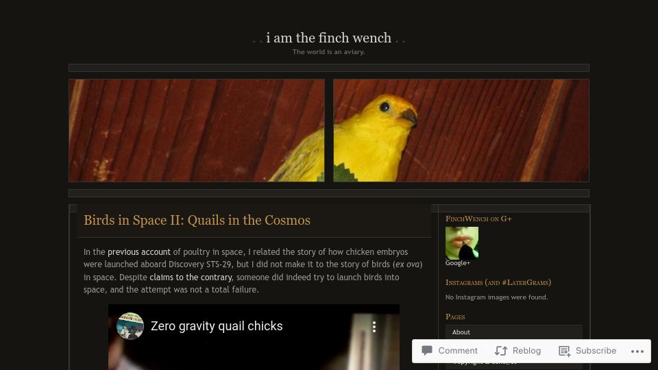 Screenshot of finchwench.wordpress.com: Birds in Space II: Quails in the Cosmos (2011)