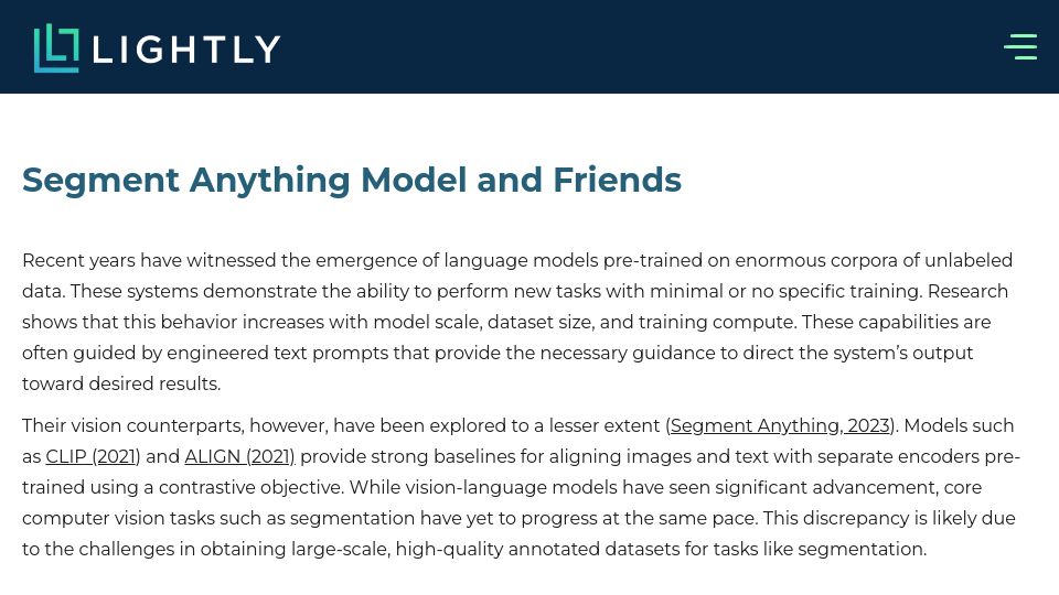 Screenshot of lightly.ai: Segment Anything Model and Friends