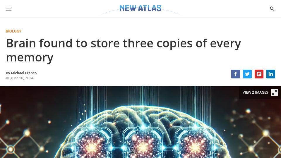 Screenshot of newatlas.com: Brain found to store three copies of every memory