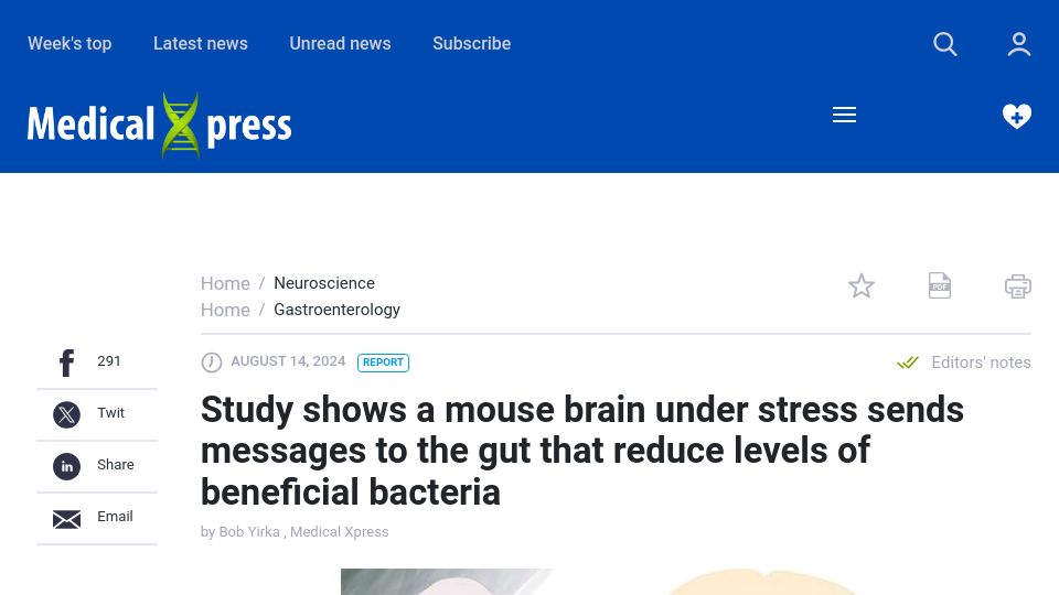 Screenshot of medicalxpress.com: Stressed mouse brain sends gut messages that reduce beneficial bacteria levels