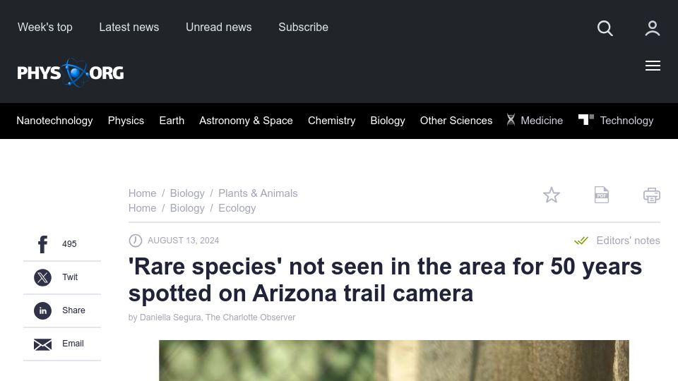 Screenshot of phys.org: 'Rare species' not seen in the area for 50 years spotted on Arizona trail camera