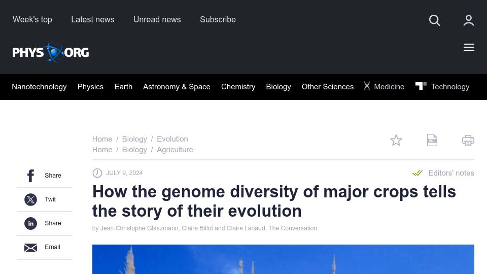 Screenshot of phys.org: The genome diversity of major crops tells the story of their evolution