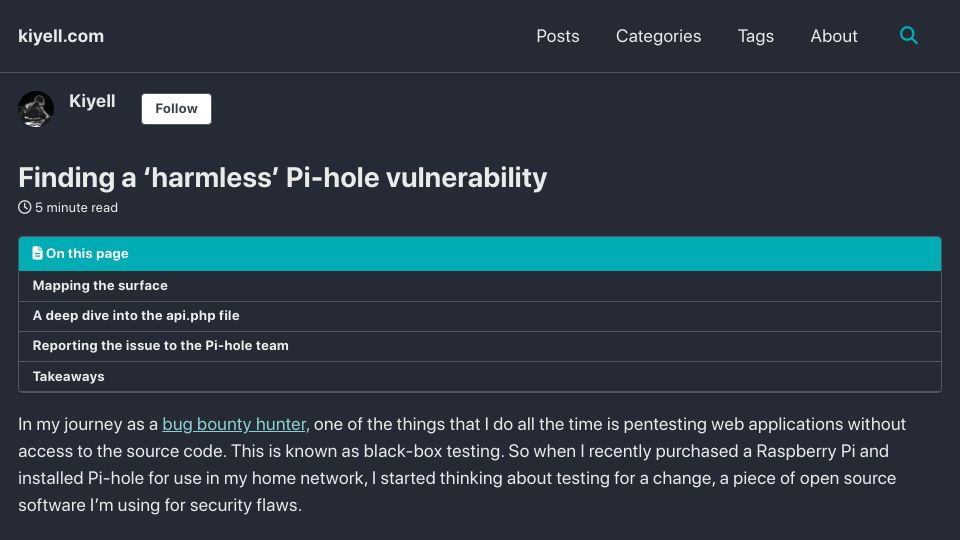 Screenshot of kiyell.com: The Harmless Pi-Hole Bug