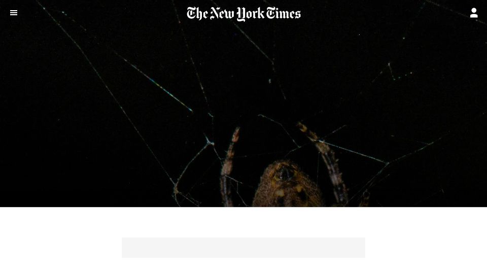 Screenshot of nytimes.com: Spider Uses a Light Show to Trick Eager Male Fireflies into Its Web