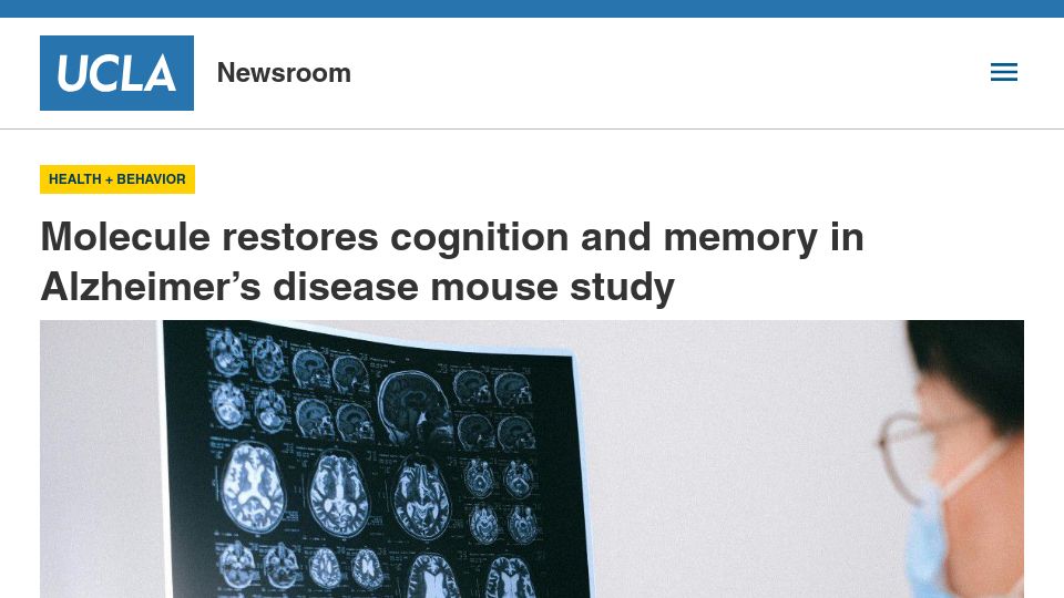 Screenshot of newsroom.ucla.edu: Molecule restores cognition and memory in Alzheimer's disease mouse study