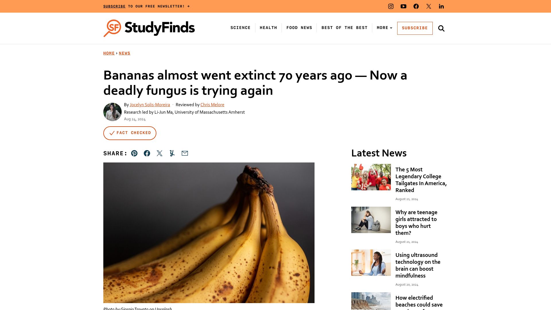 Screenshot of studyfinds.org: Bananas almost went extinct 70 years ago – Now a deadly fungus is trying again