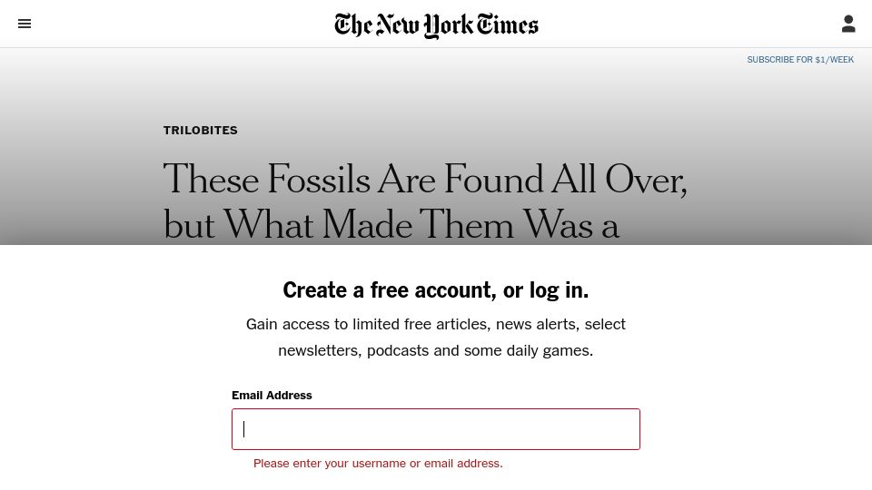 Screenshot of nytimes.com: Marine worms made at least some trace fossil burrows called Bifungites