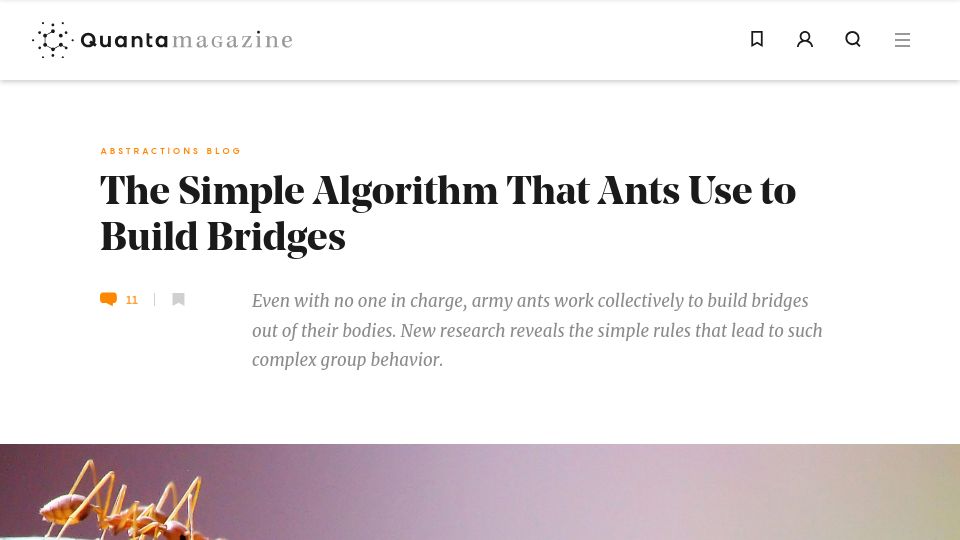 Screenshot of quantamagazine.org: The Simple Algorithm That Ants Use to Build Bridges (2018)