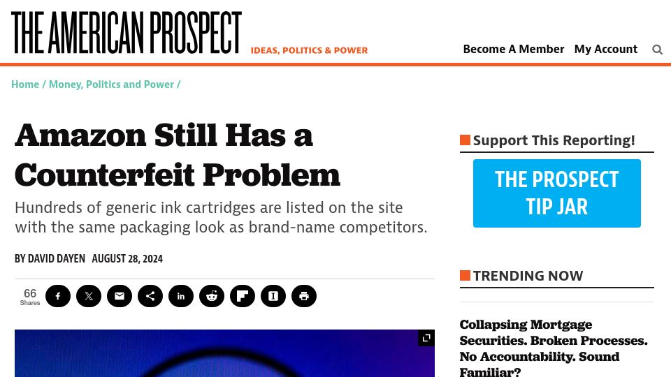Screenshot of prospect.org: Amazon Still Has a Counterfeit Problem