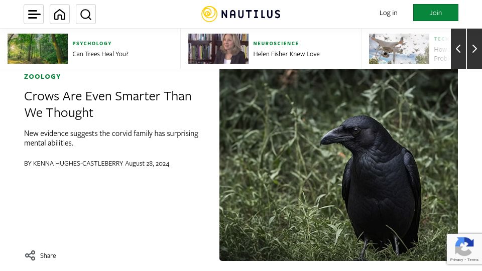 Screenshot of nautil.us: Crows are even smarter than we thought
