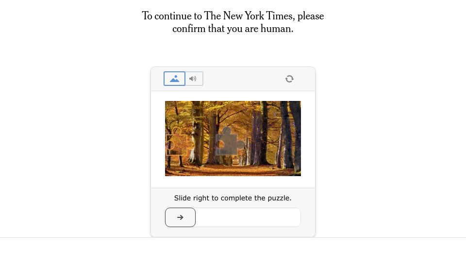 Screenshot of nytimes.com: How the music industry learned to love piracy