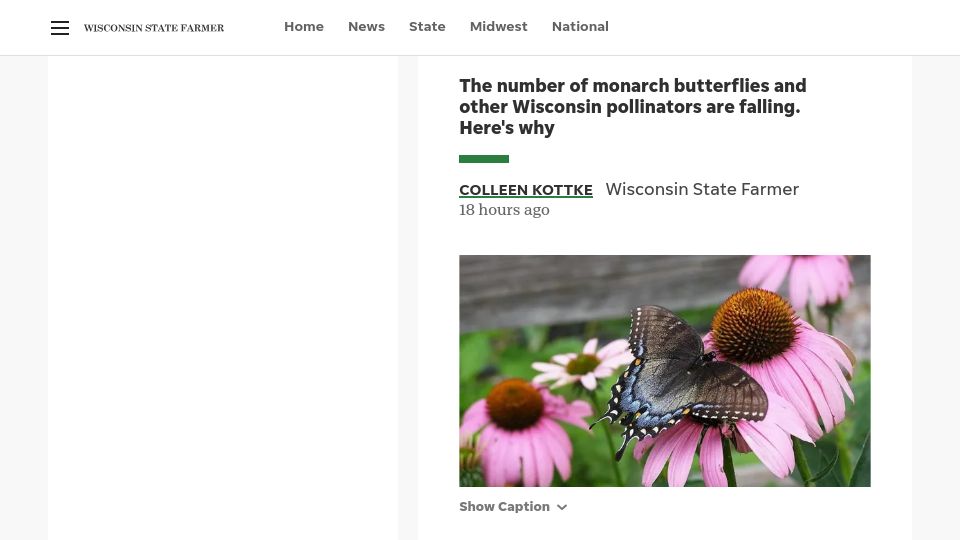 Screenshot of wisfarmer.com: Can we stop the decline of monarch butterflies and other pollinators?