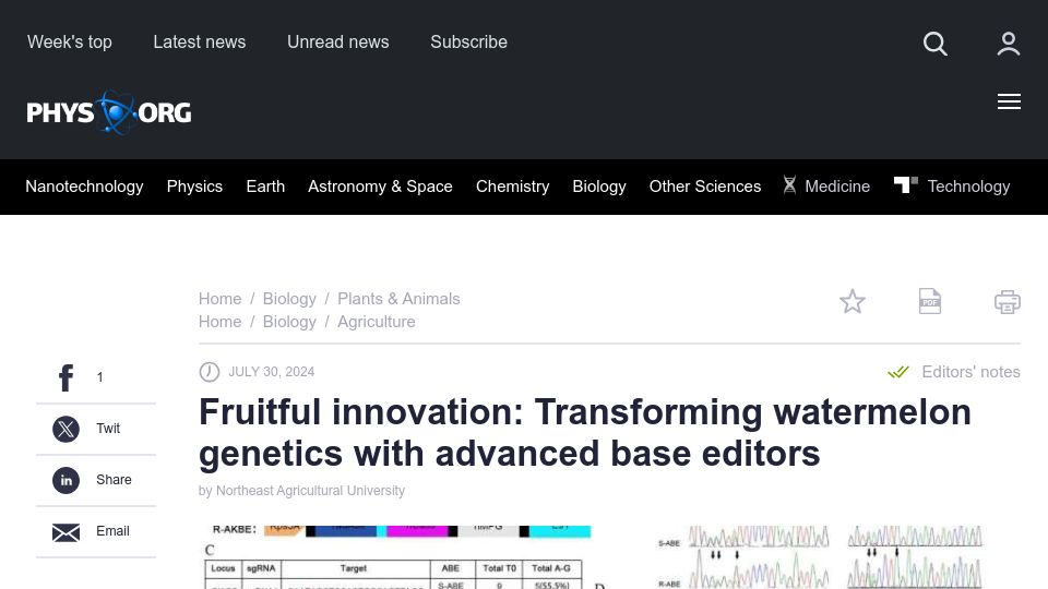 Screenshot of phys.org: Fruitful innovation: Transforming watermelon genetics with advanced base editors