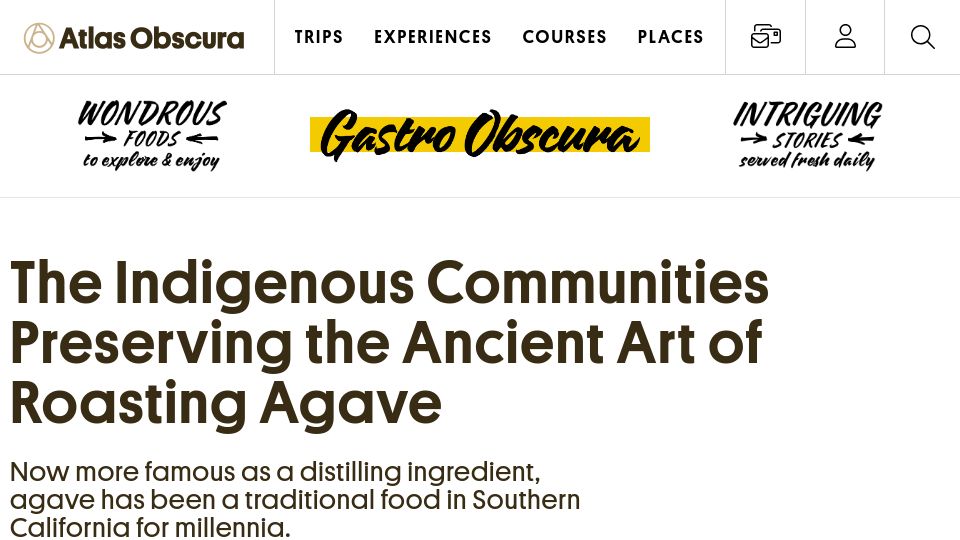 Screenshot of atlasobscura.com: The ancient art of roasting agave