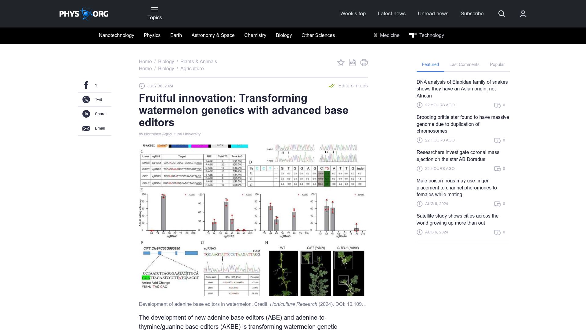 Screenshot of phys.org: Fruitful innovation: Transforming watermelon genetics with advanced base editors