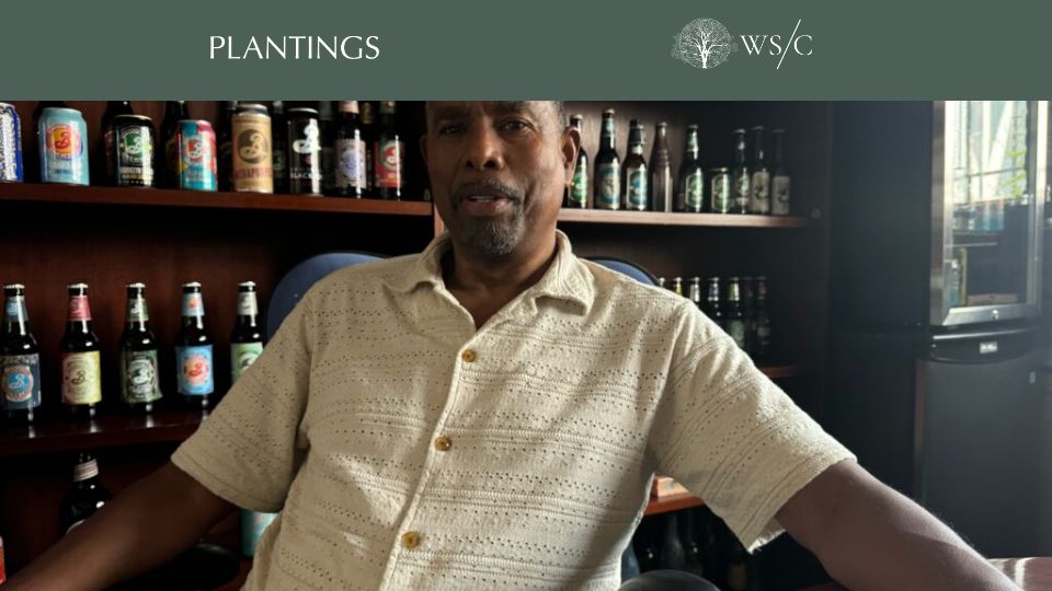 Screenshot of worldsensorium.com: The Art of the Brew: Exploring Hops and Other Plant Ingredients That Define Beer
