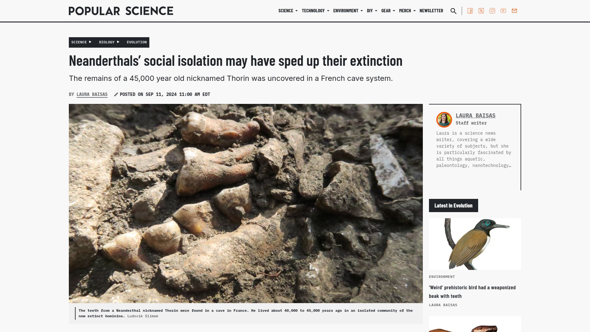 Screenshot of popsci.com: Neanderthals' social isolation may have sped up their extinction