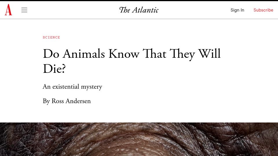 Screenshot of theatlantic.com: Do Animals Know That They Will Die?