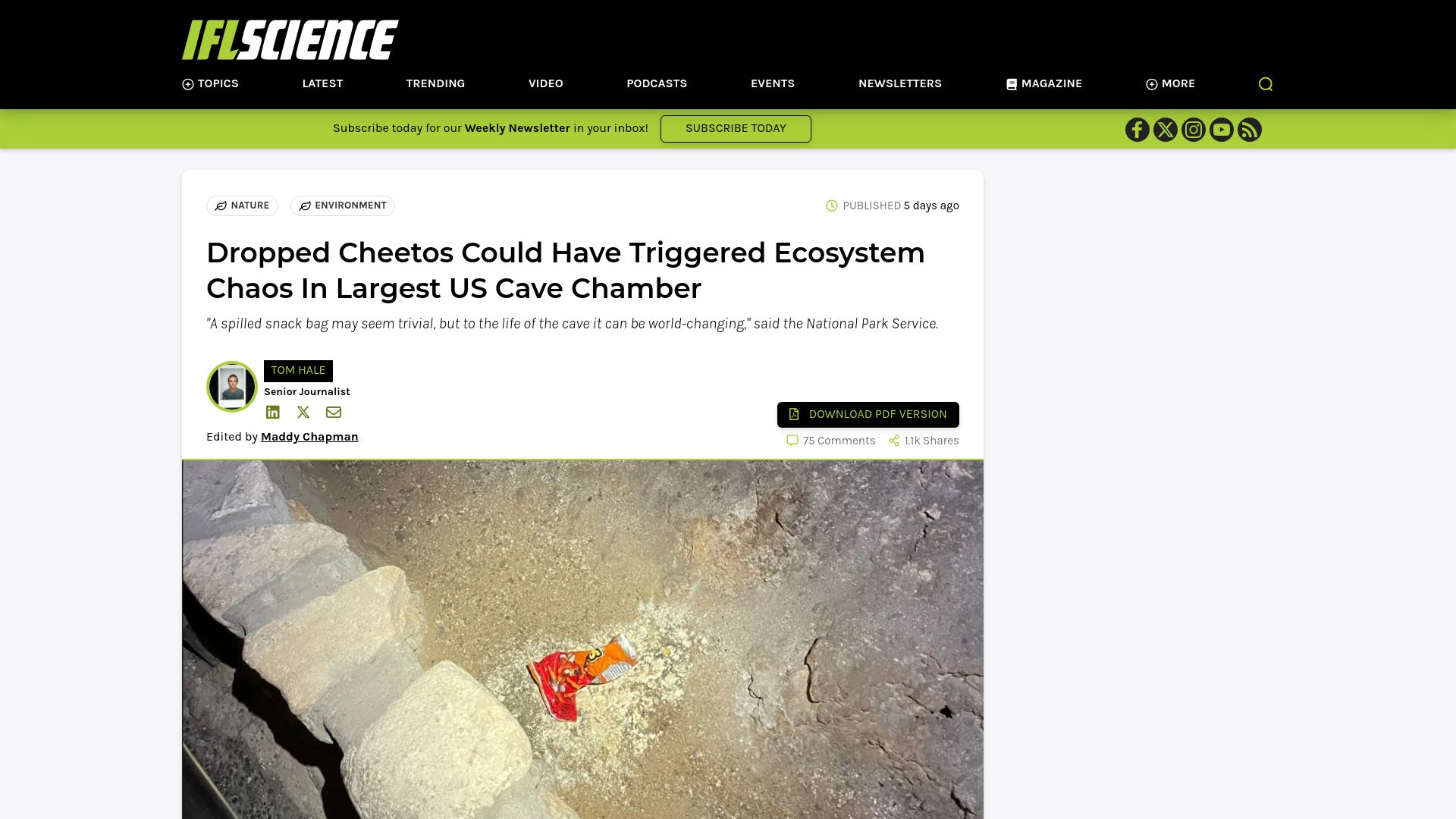 Screenshot of iflscience.com: Dropped Cheetos Could Have Triggered Ecosystem Chaos in Largest US Cave Chamber