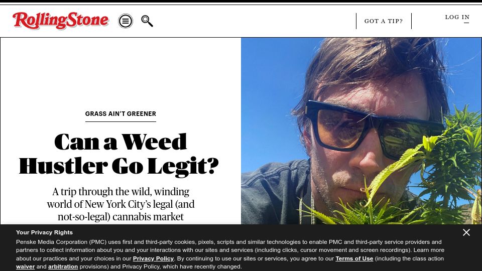 Screenshot of rollingstone.com: The wild,winding world of New York City's legal (& not-so-legal) cannabis market