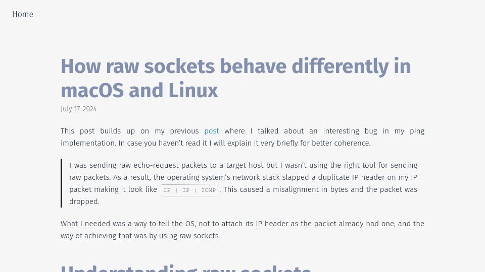 Screenshot of swagnik.netlify.app: How Raw sockets behave differently in macOS and Linux