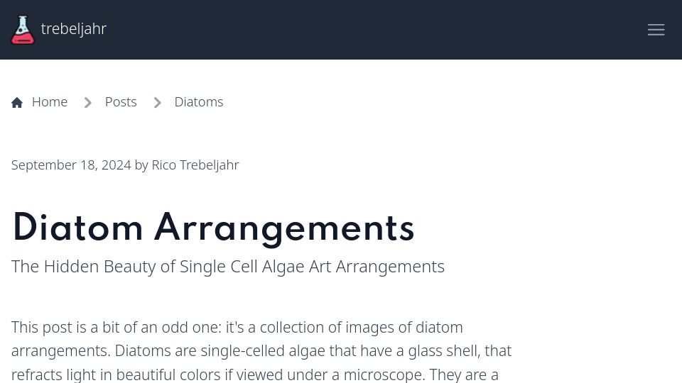 Screenshot of trebeljahr.com: Diatom Arrangements