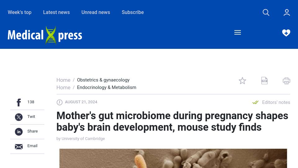 Screenshot of medicalxpress.com: Mother's gut microbiome during pregnancy shapes baby's brain development