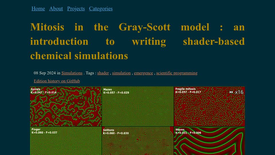 Screenshot of pierre-couy.dev: Mitosis in the Gray-Scott model: writing shader-based chemical simulations