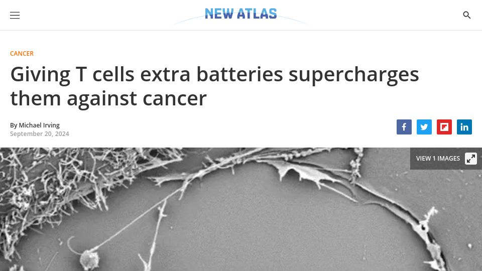 Screenshot of newatlas.com: Giving T cells extra batteries supercharges them against cancer