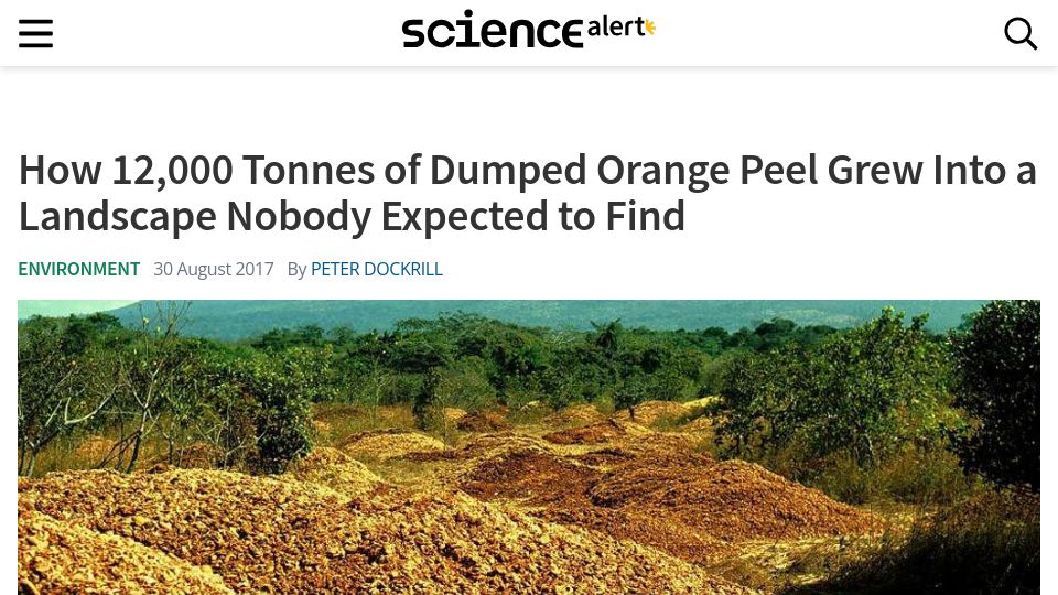 Screenshot of sciencealert.com: Dumped orange peel transformed a barren pasture (2017)