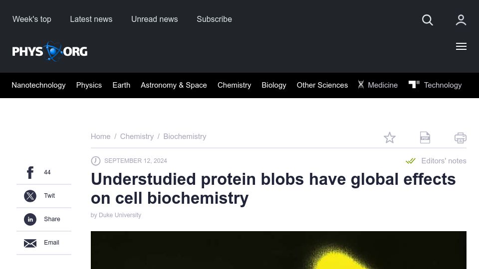 Screenshot of phys.org: Understudied protein blobs have global effects on cell biochemistry