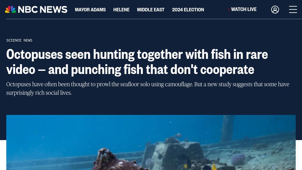 Screenshot of nbcnews.com: Octopuses seen hunting together with fish
