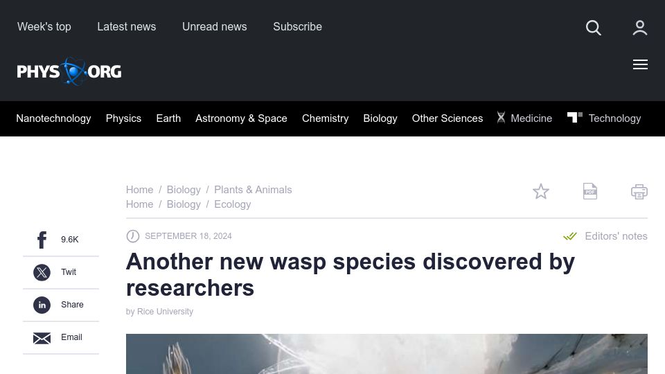 Screenshot of phys.org: Another new wasp species discovered by researchers