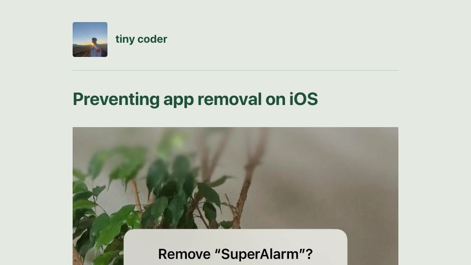 Screenshot of tinycoder.pika.page: Preventing app removal on iOS
