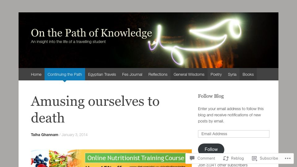 Screenshot of web.archive.org: Amusing Ourselves to Death (2014)