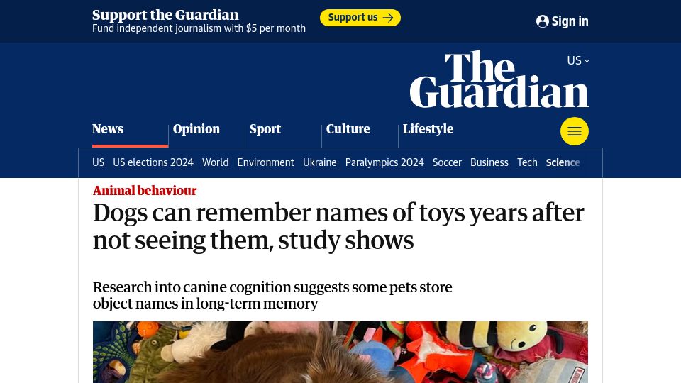 Screenshot of theguardian.com: Dogs can remember names of toys years after not seeing them, study shows