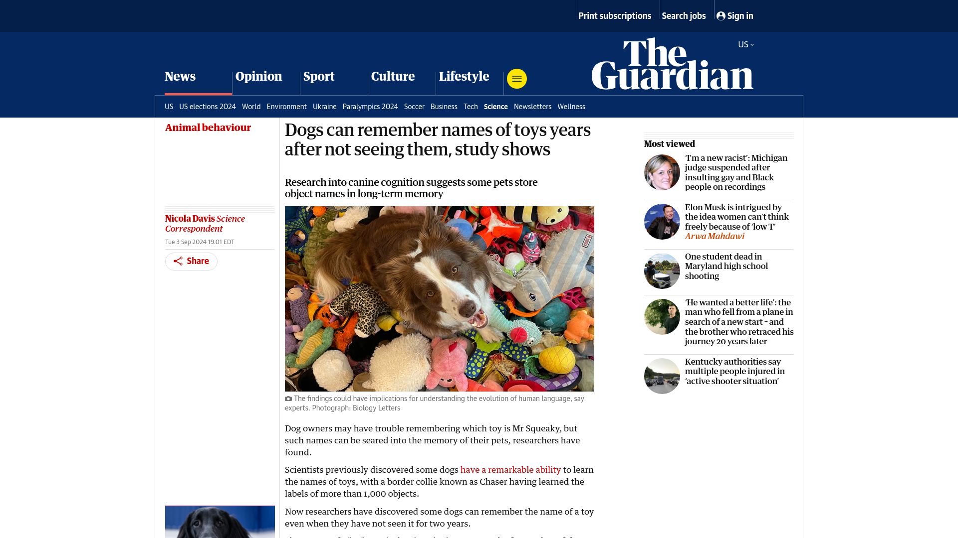 Screenshot of theguardian.com: Dogs can remember names of toys years after not seeing them, study shows