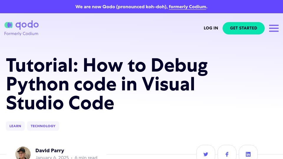 Screenshot of qodo.ai: How to debug Python code in Visual Studio Code