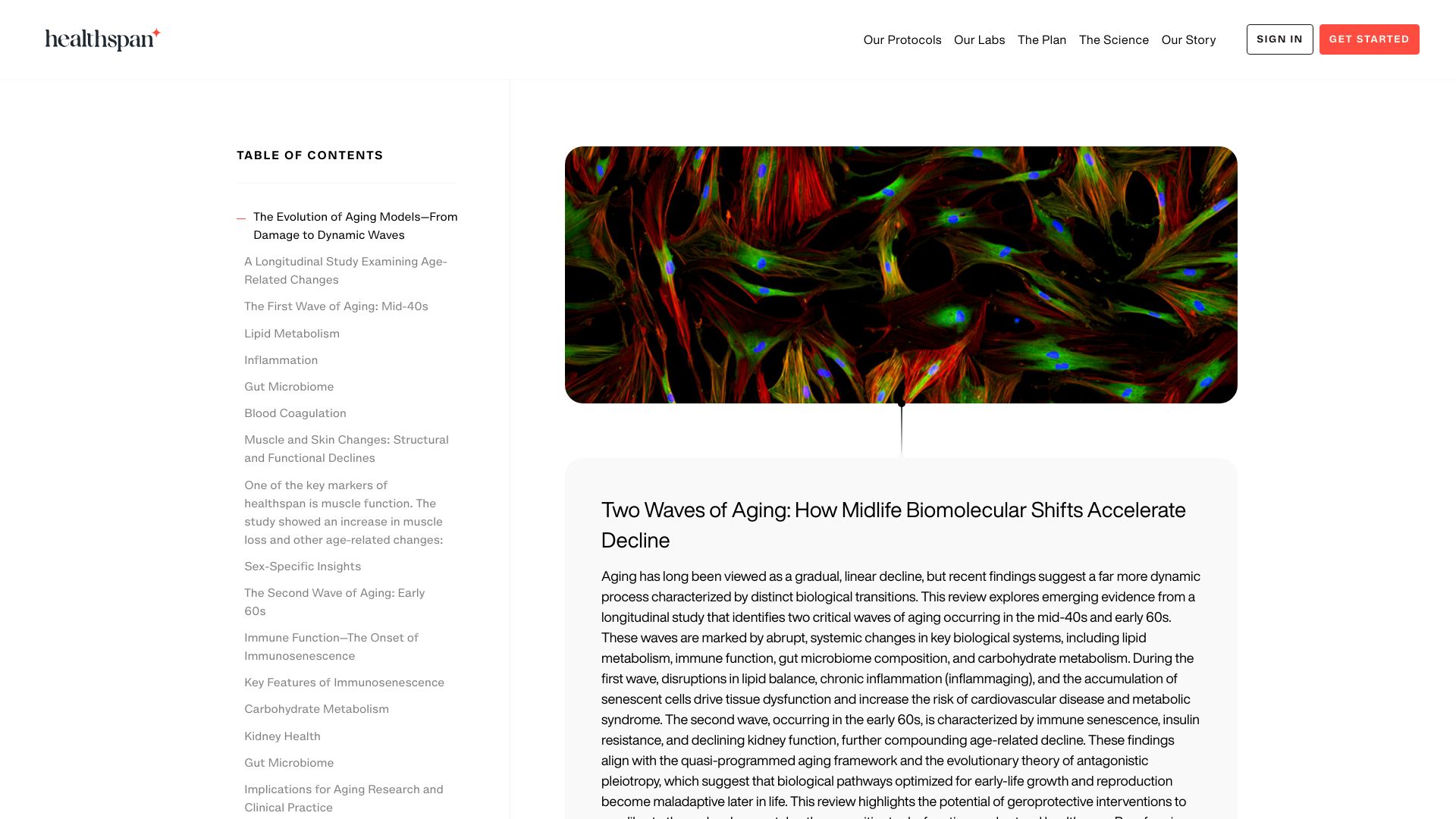 Screenshot of gethealthspan.com: Two Waves of Aging: How Midlife Biomolecular Shifts Accelerate Decline