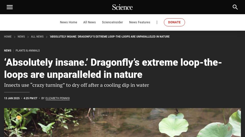 Screenshot of science.org: Dragonfly's extreme loop-the-loops