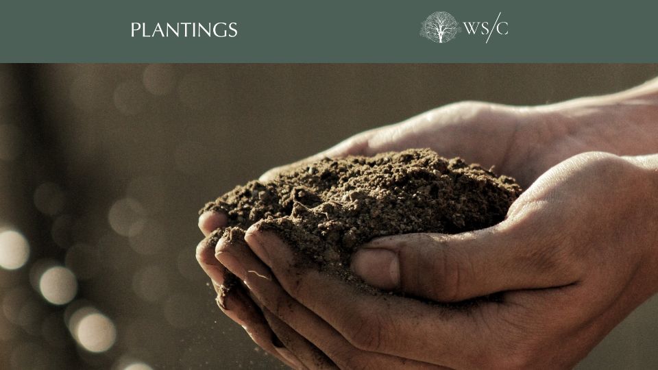 Screenshot of worldsensorium.com: Maintaining and sustaining soil health