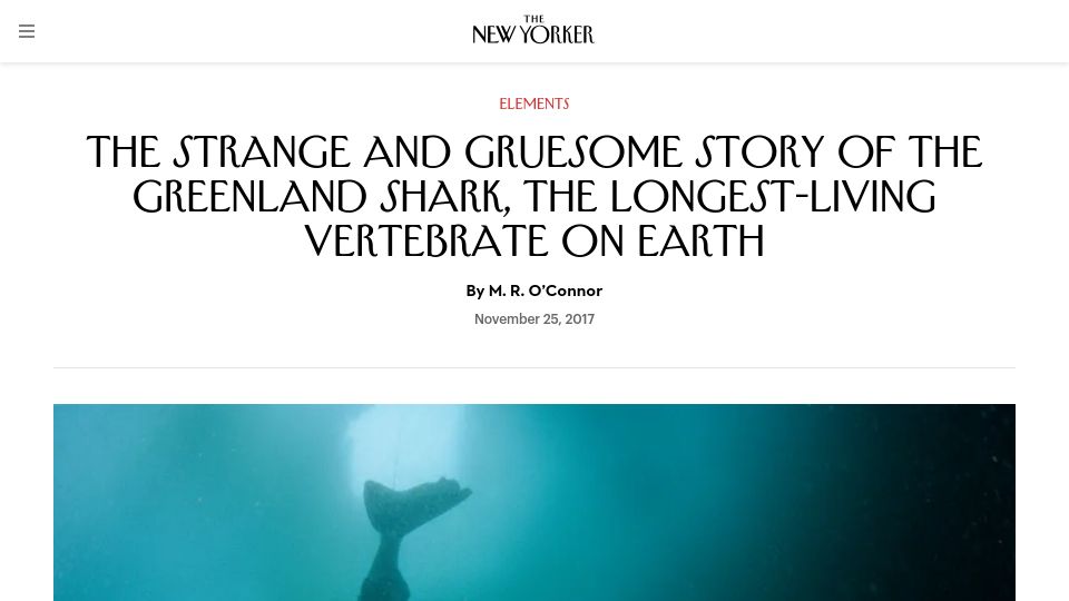 Screenshot of newyorker.com: The Greenland Shark, the Longest-Living Vertebrate on Earth (2017)