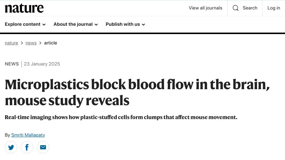 Screenshot of nature.com: Microplastics block blood flow in the brain, mouse study reveals