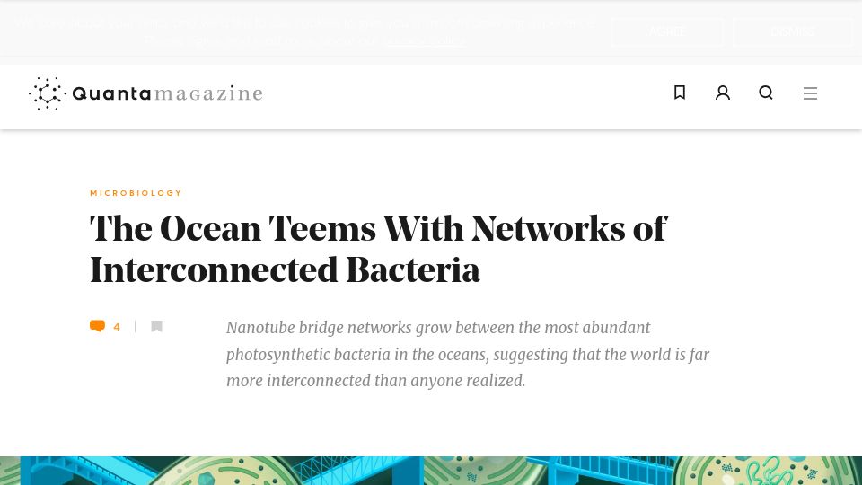Screenshot of quantamagazine.org: The ocean teems with networks of interconnected bacteria