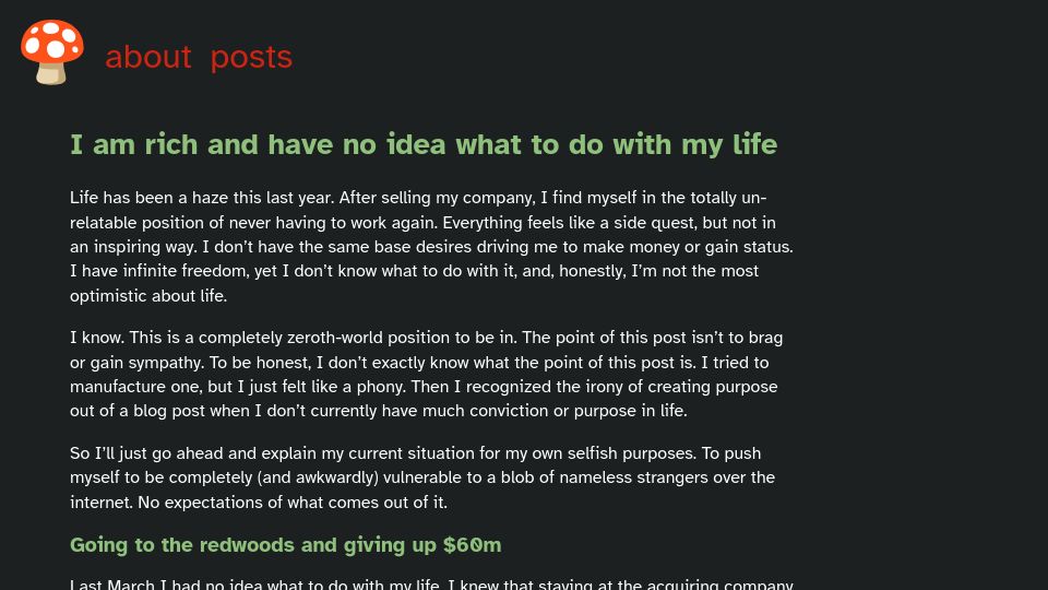 Screenshot of vinay.sh: I am rich and have no idea what to do
