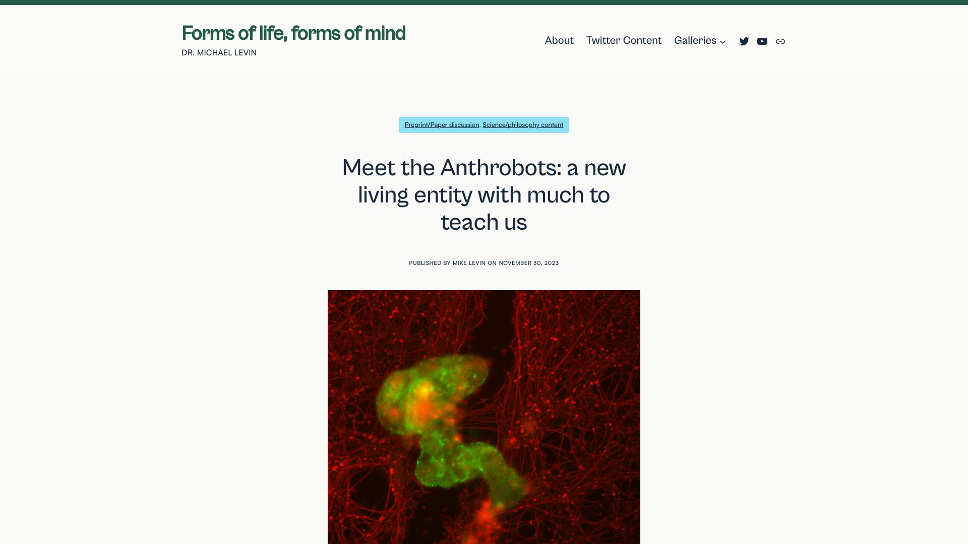 Screenshot of thoughtforms.life: The Anthrobots: a new living entity with much to teach us